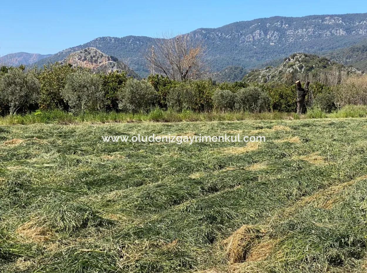 3700M2 Land For Sale In Dalyan