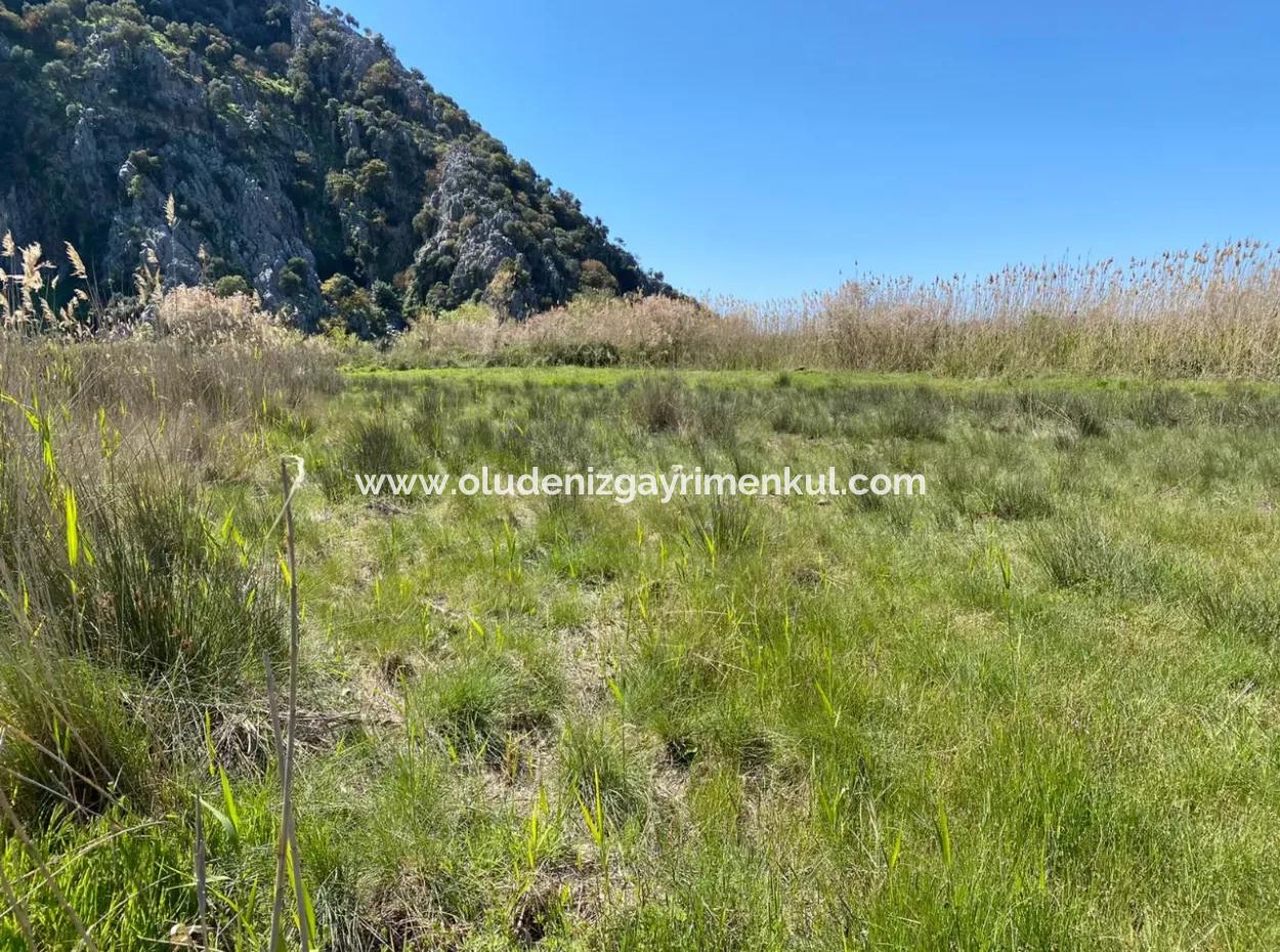 9310M2 Land For Sale In Dalyan