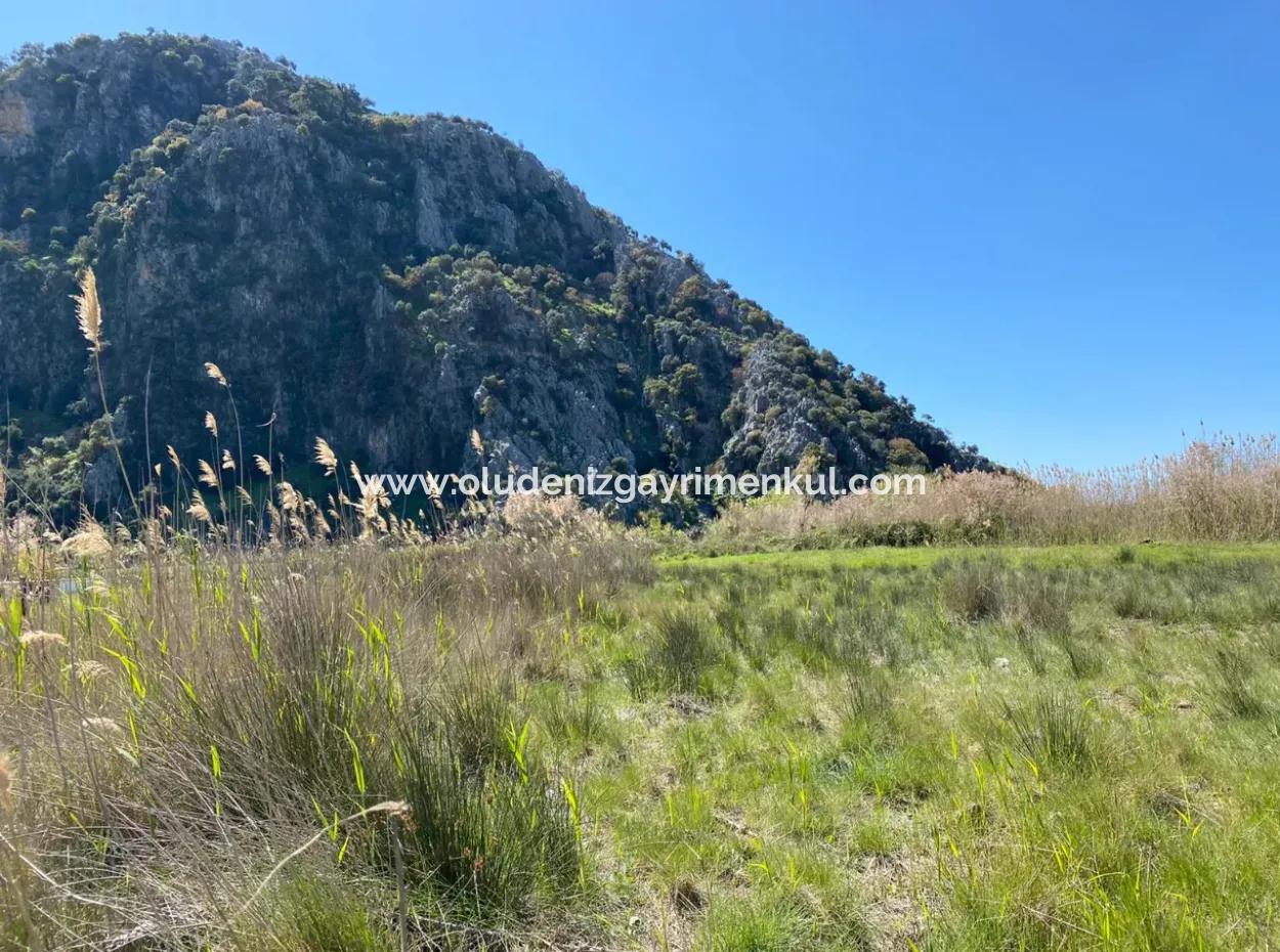 9310M2 Land For Sale In Dalyan