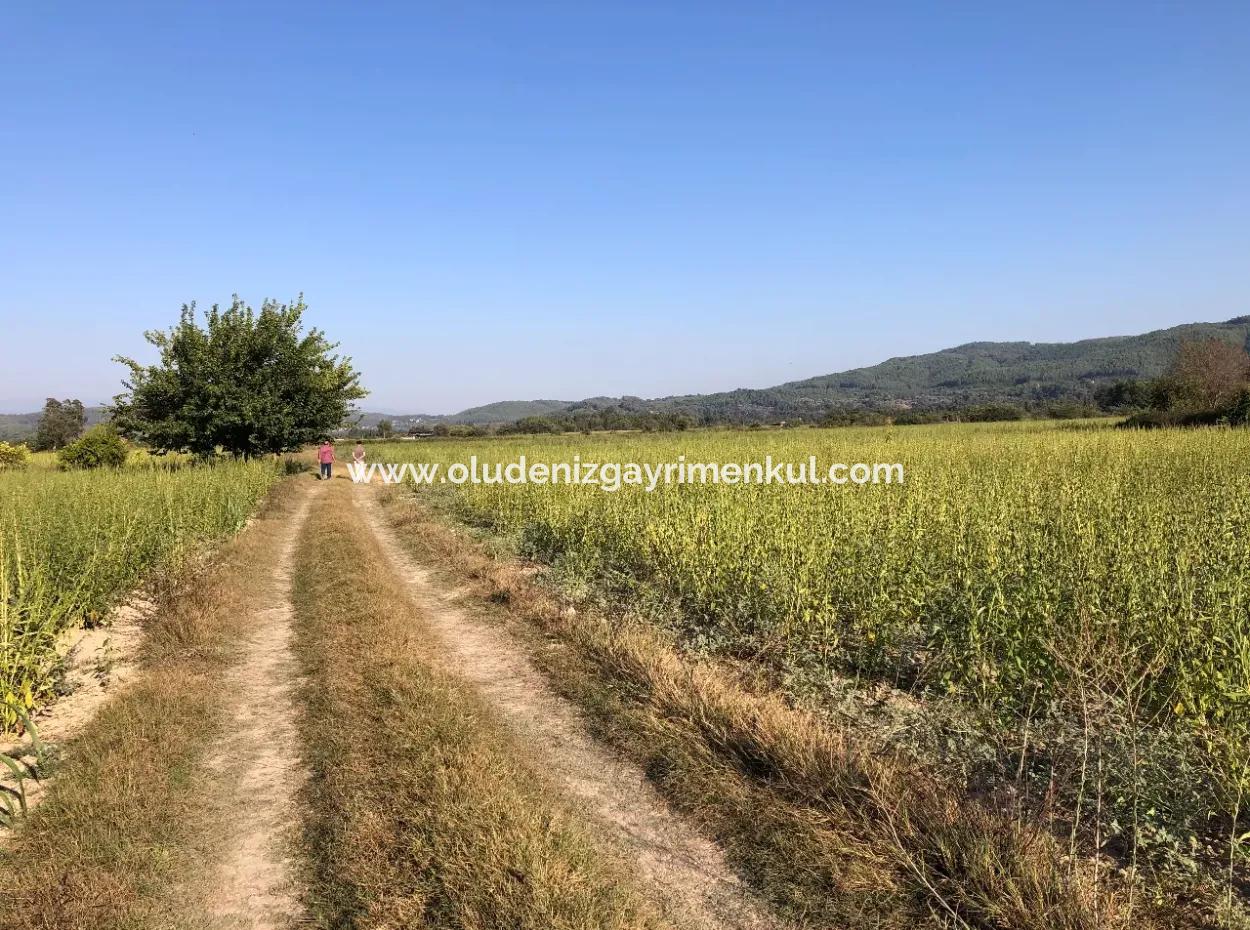 For Sale In Akçapinar 100 Acres For Sale