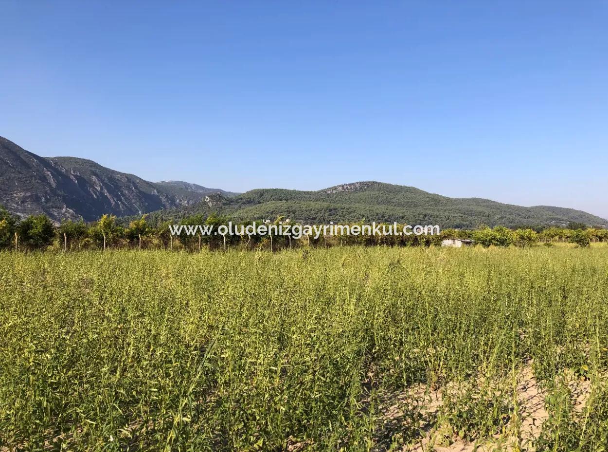 For Sale In Akçapinar 100 Acres For Sale