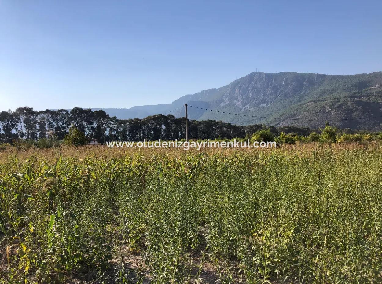 For Sale In Akçapinar 100 Acres For Sale