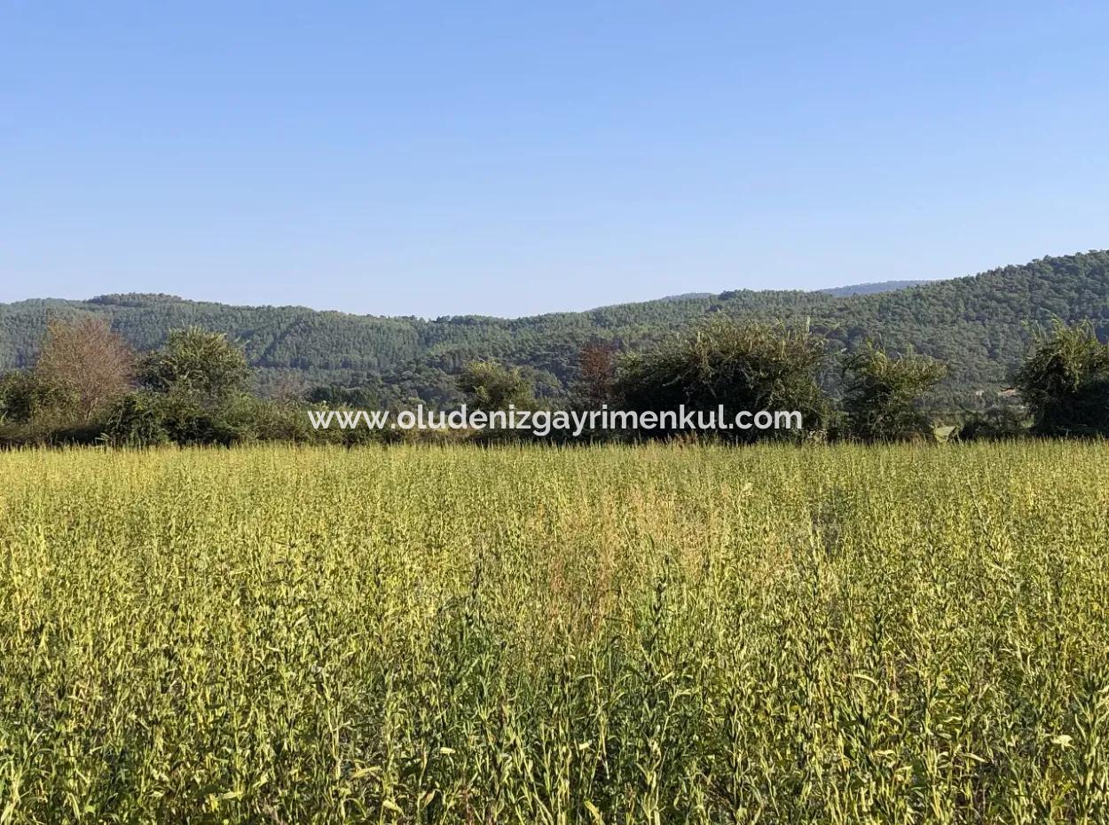 For Sale In Akçapinar 100 Acres For Sale