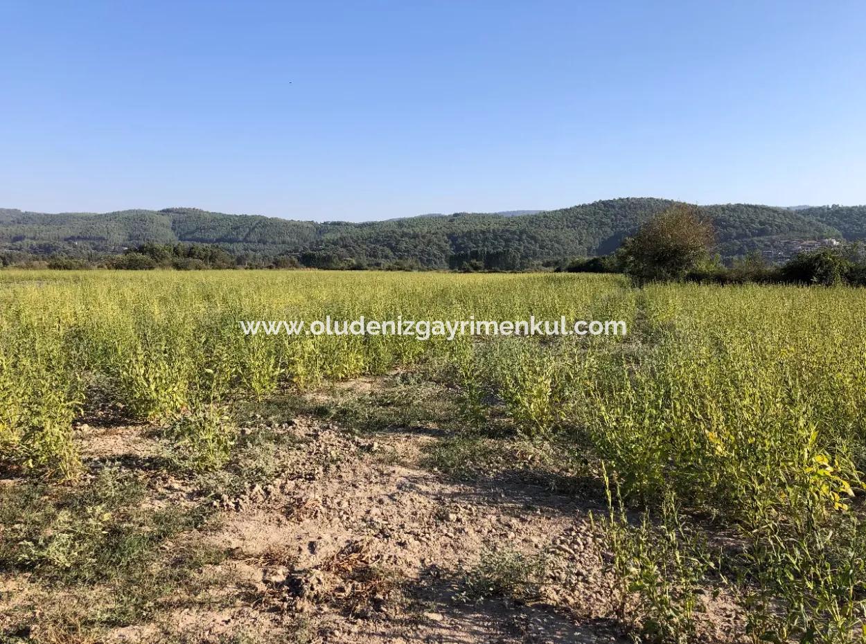 For Sale In Akçapinar 100 Acres For Sale