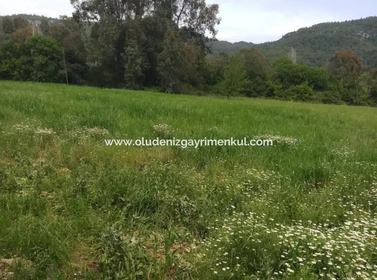 Land For Sale In Çamlida
