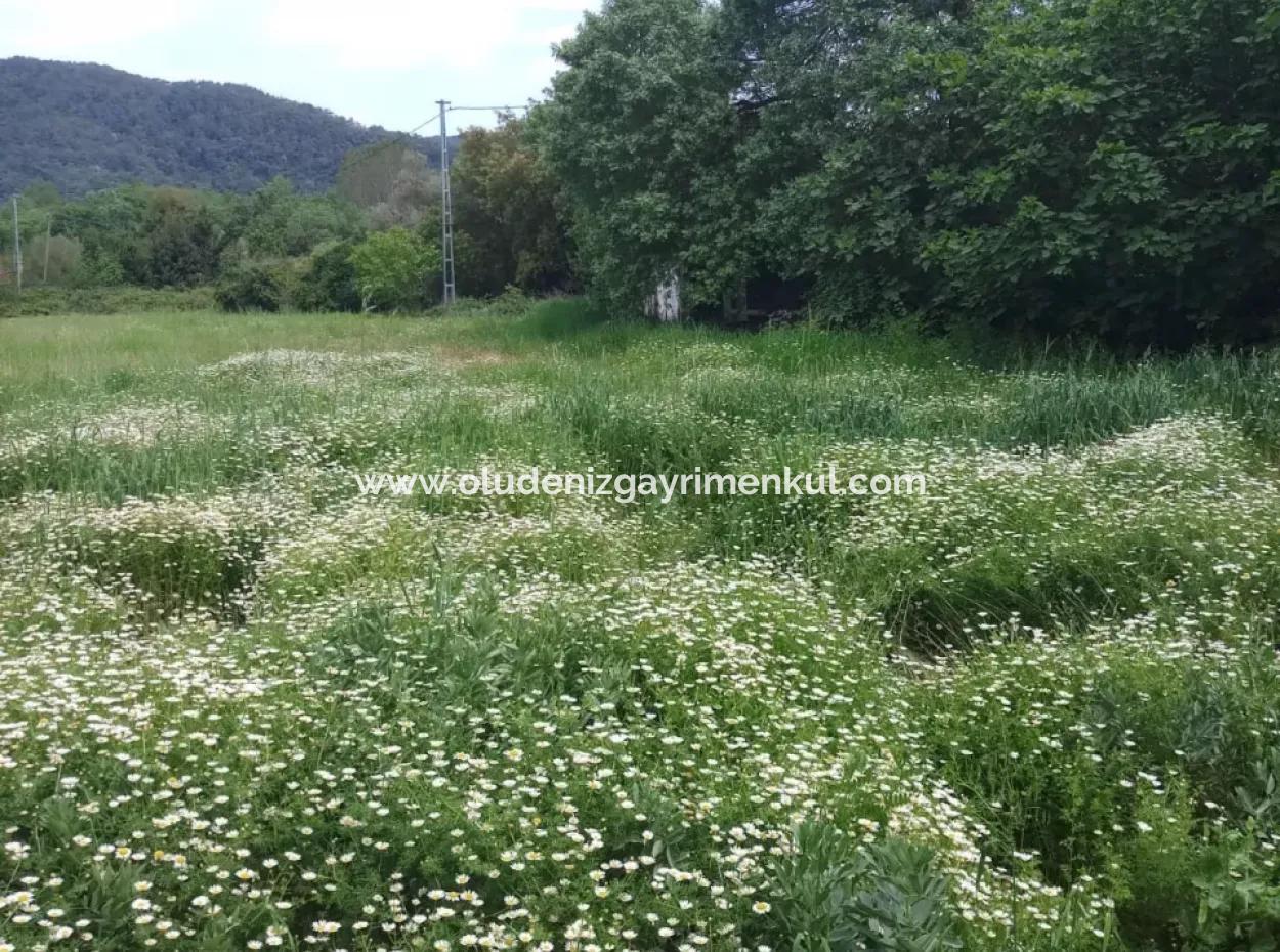 Land For Sale In Çamlida