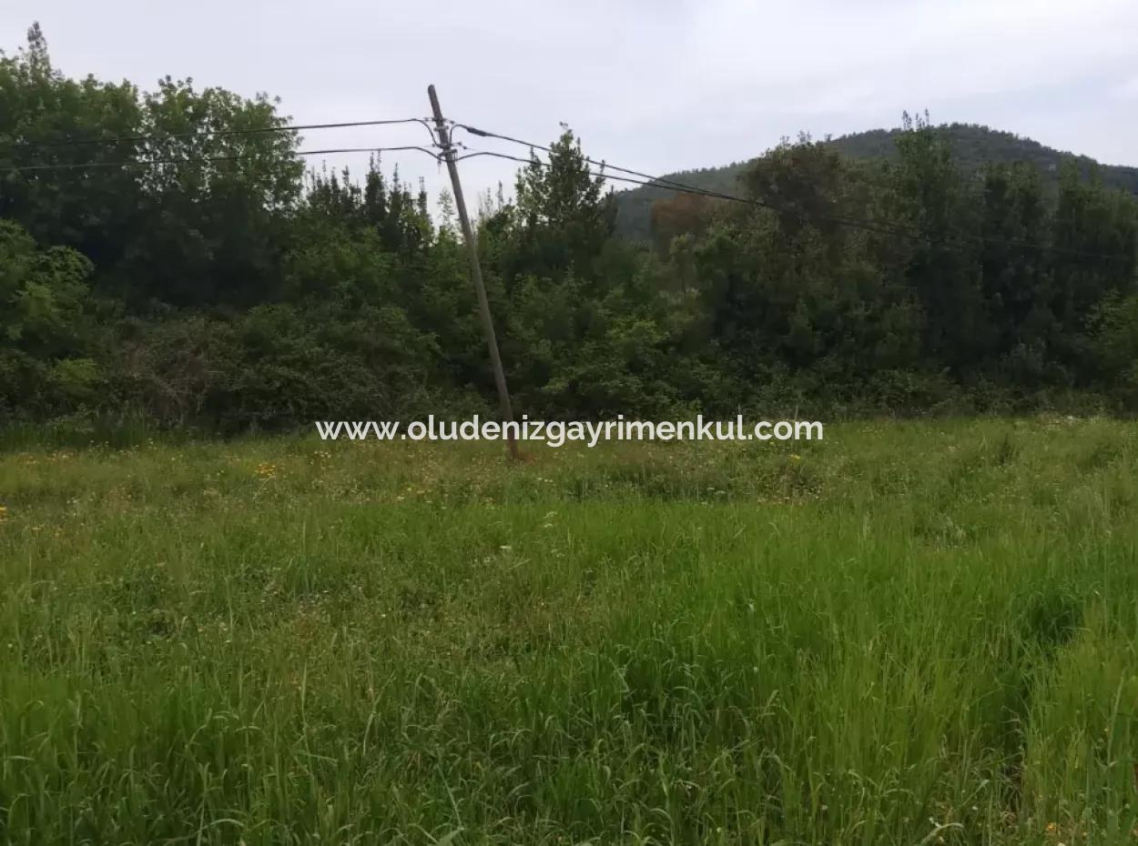 Land For Sale In Çamlida