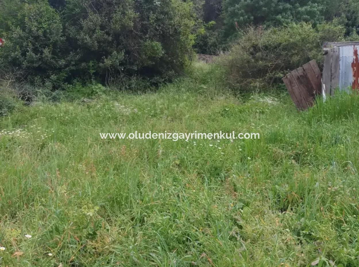 Land For Sale In Çamlida