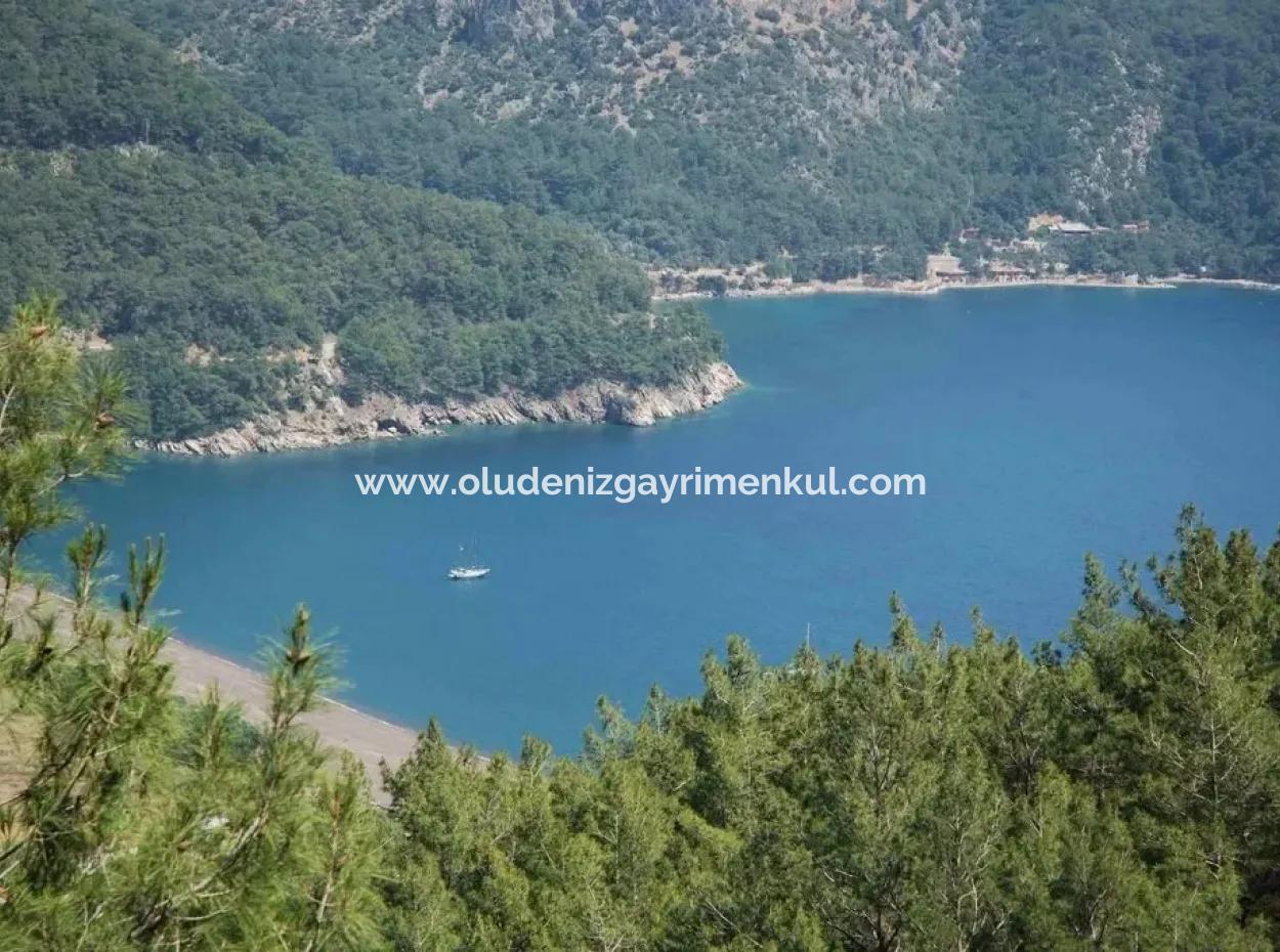 Here A Sea Full Sea View Plot For Sale For Sale Parcel 10885M2