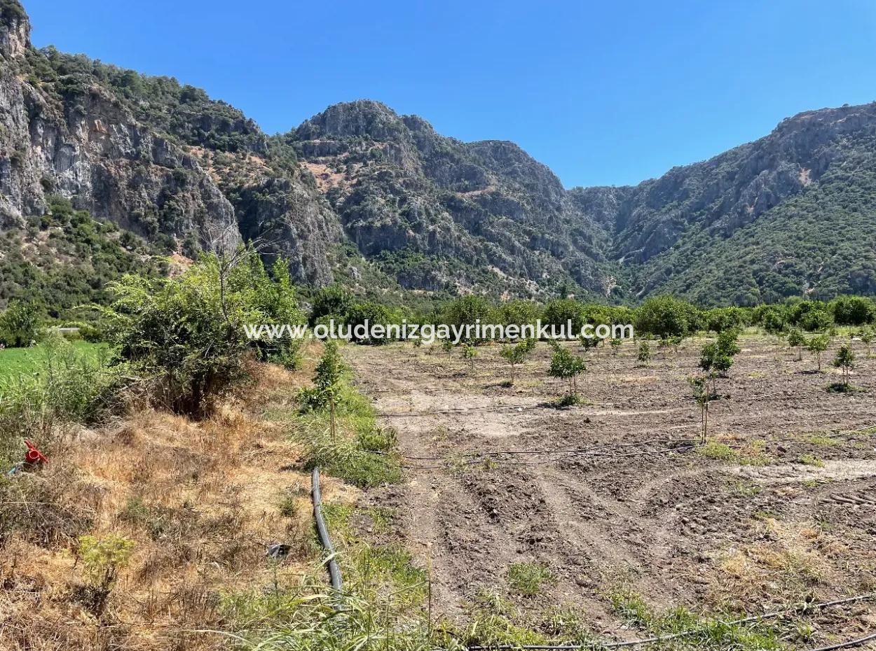 Okçular Land For Sale In Marmarlı 6500M2