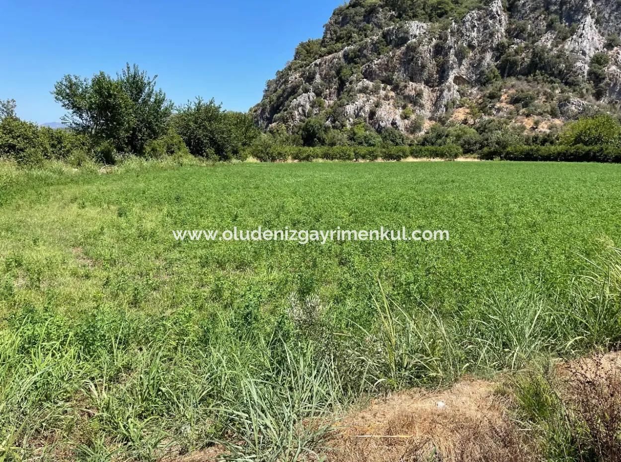 Okçular Land For Sale In Marmarlı 6500M2