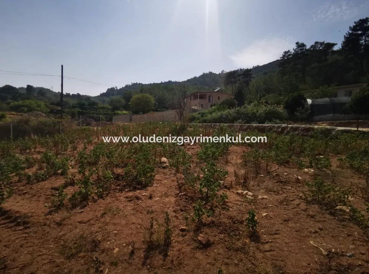 1245M2  Land For Sale In Marmaris Çamlı