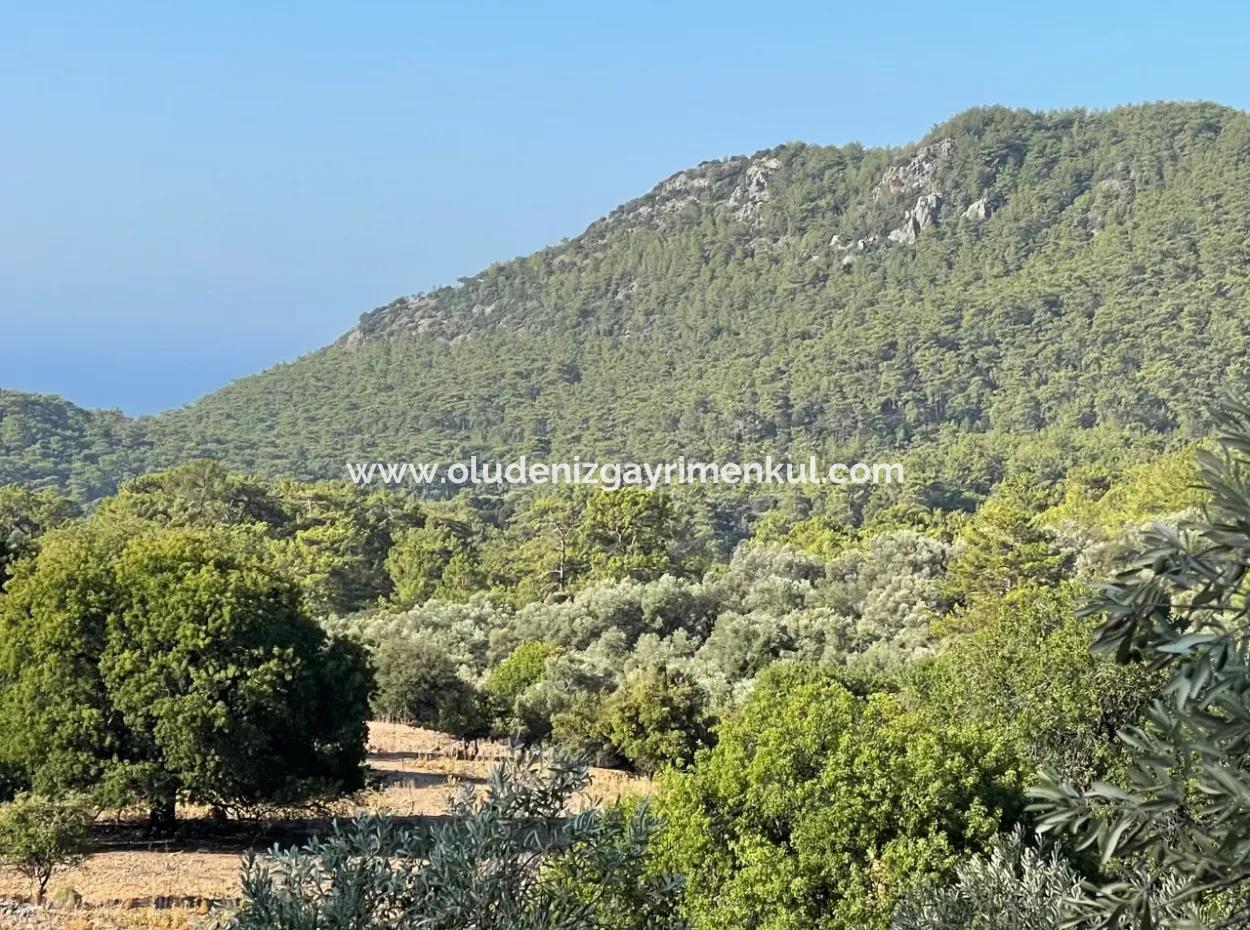 2620M2 Land Field For Sale With Sea View Of Çandir