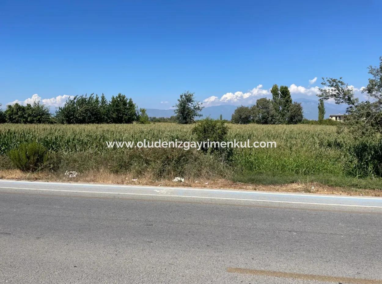 Dalyan Main Road Zero Land For Sale 8115M2 Commercial Land For Sale