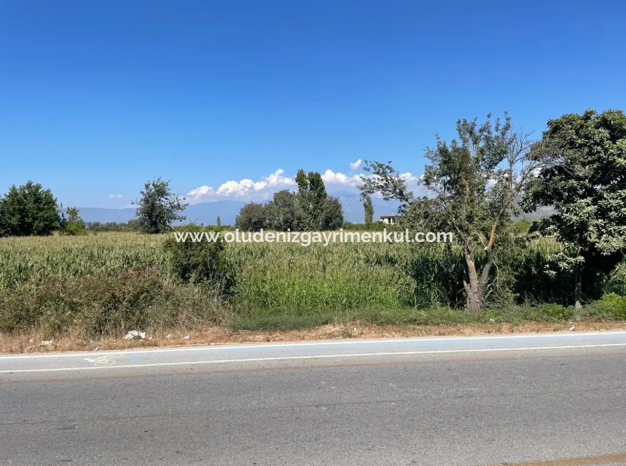 Dalyan Main Road Zero Land For Sale 8115M2 Commercial Land For Sale