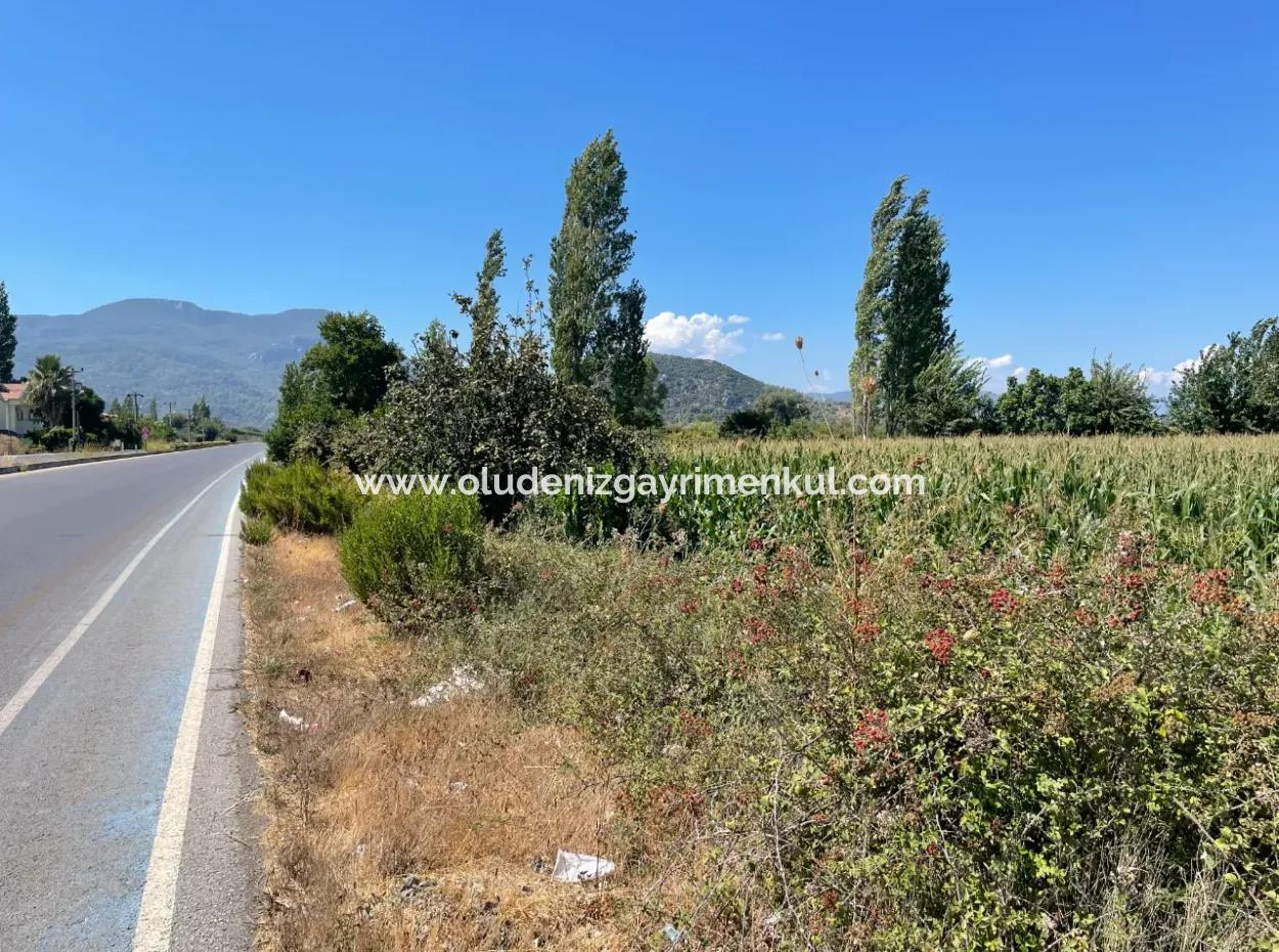 Dalyan Main Road Zero Land For Sale 8115M2 Commercial Land For Sale