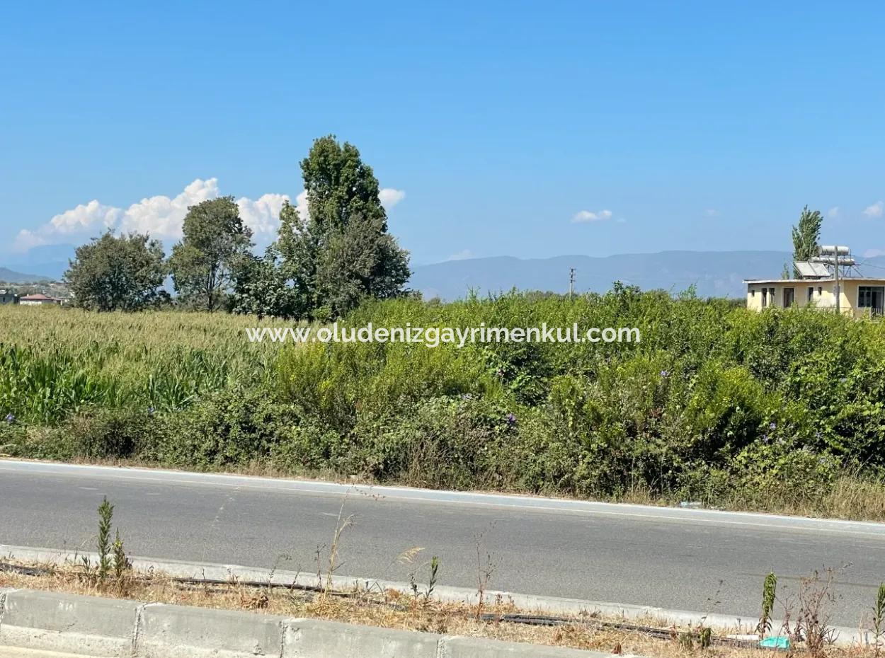 Dalyan Main Road Zero Land For Sale 8115M2 Commercial Land For Sale