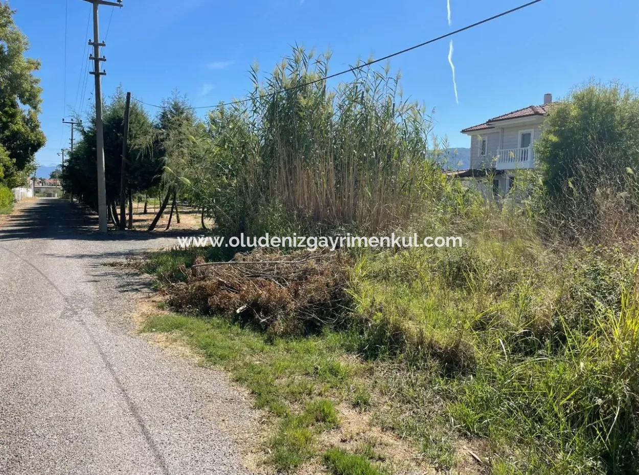 1000M2 Land For Sale In Dalyan Gülpinar Corner