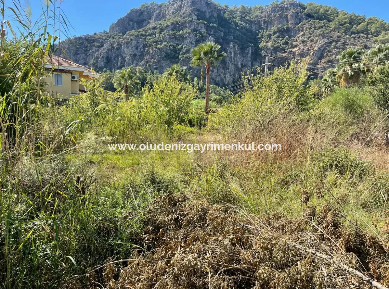 1000M2 Land For Sale In Dalyan Gülpinar Corner