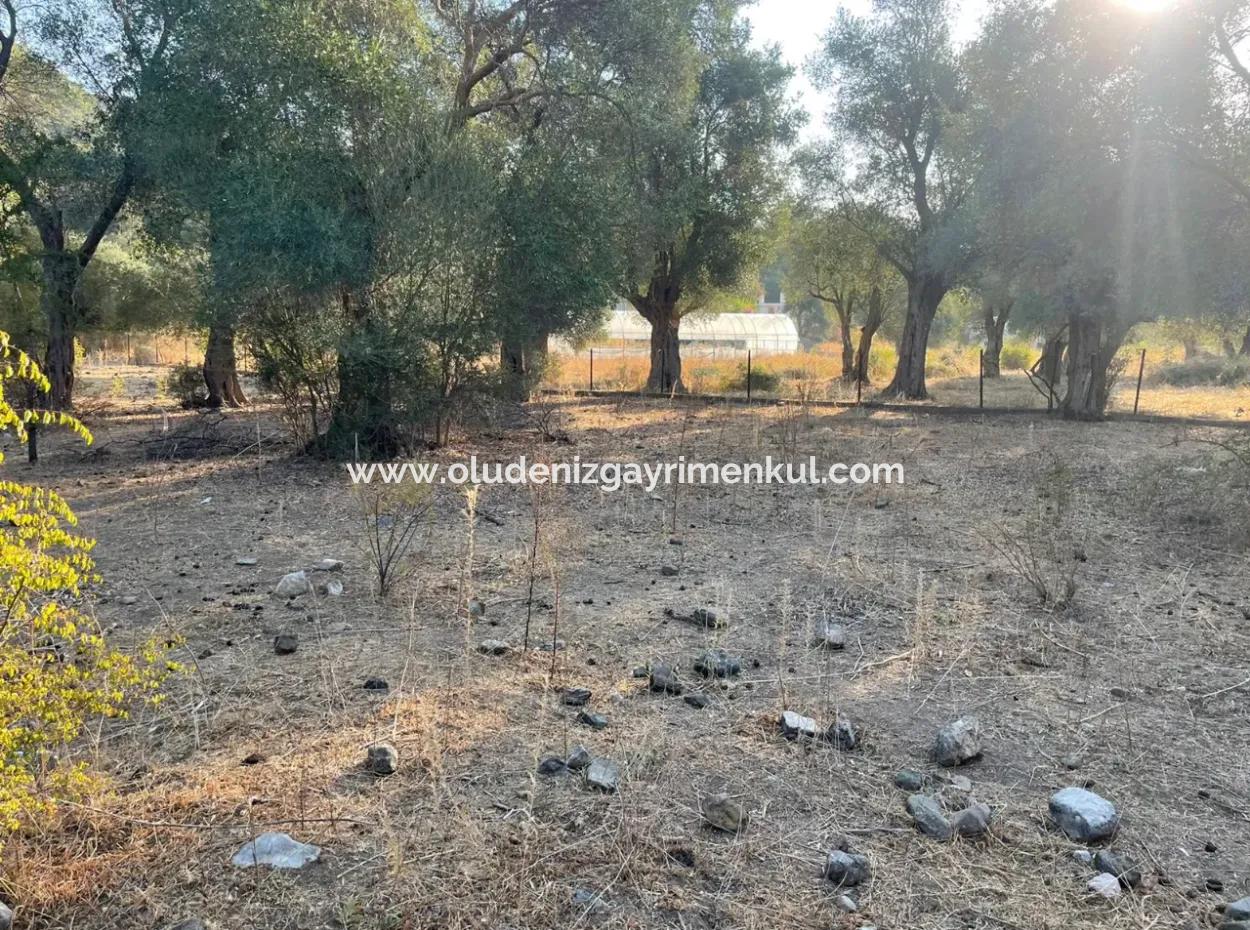 Çandir 3,800M2 Land For Sale