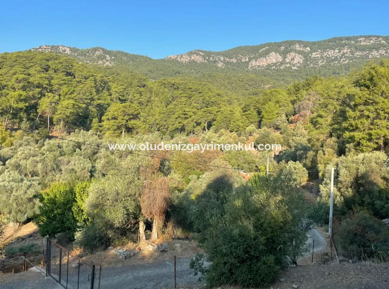 Çandir 3,800M2 Land For Sale