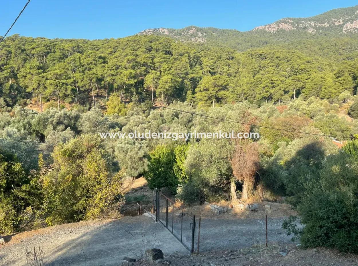 Çandir 3,800M2 Land For Sale