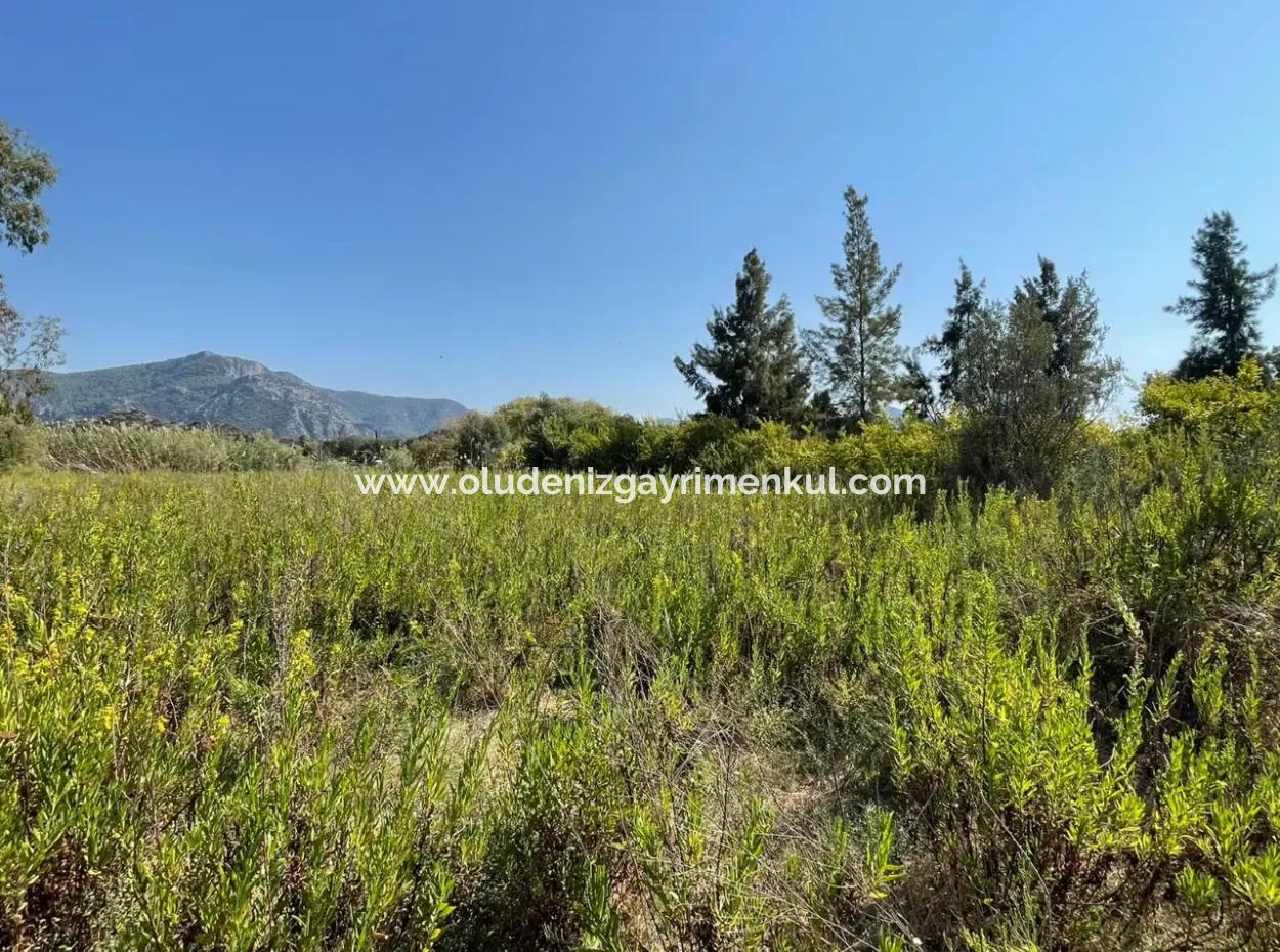 Çandır Canal Front 2765M2 Detached House For Sale