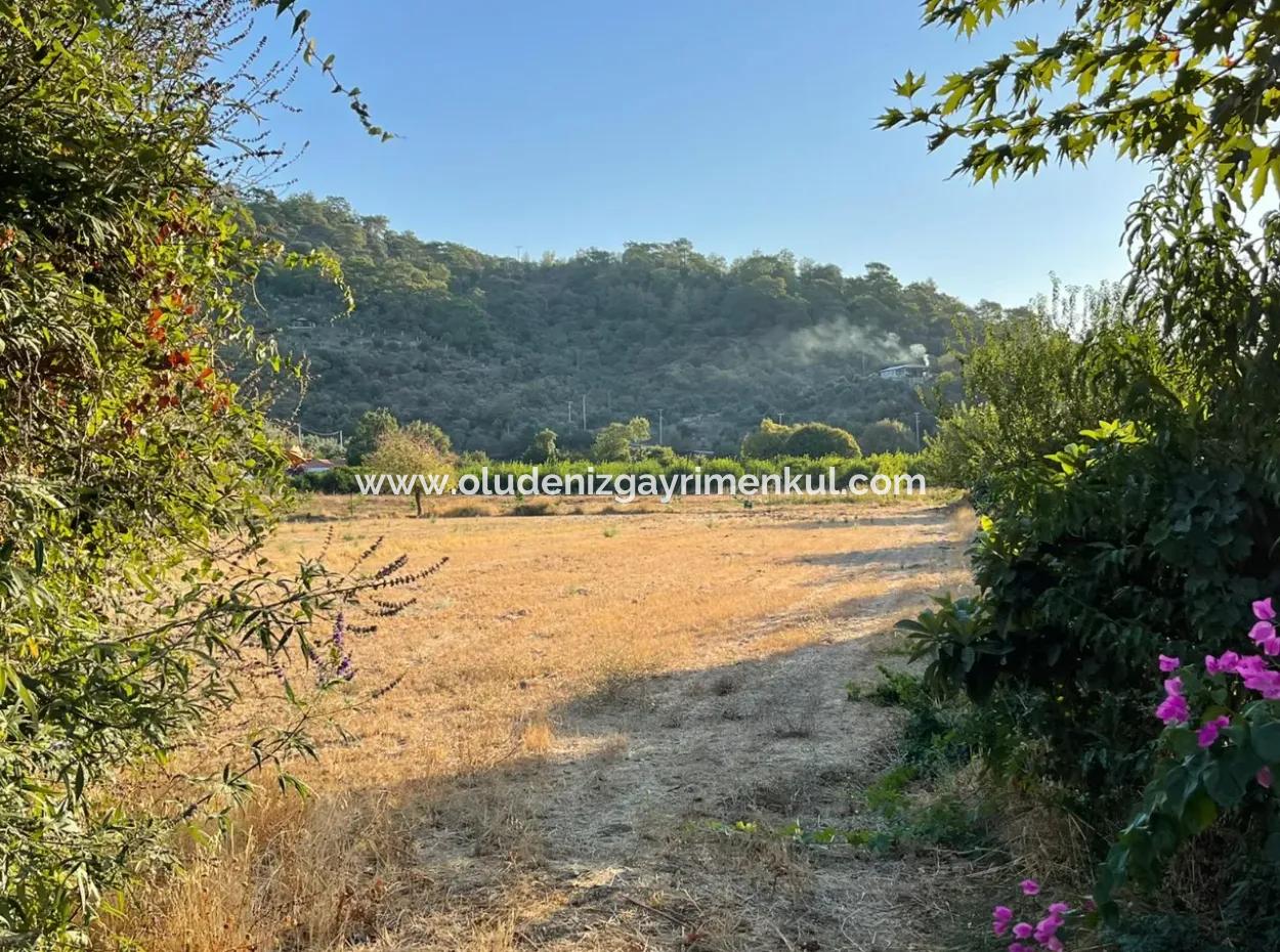 2000M2 Land For Sale In The Built-Up Area Of Çandir Village