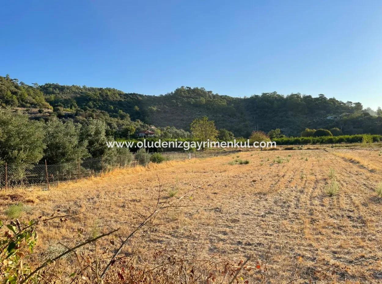 2000M2 Land For Sale In The Built-Up Area Of Çandir Village