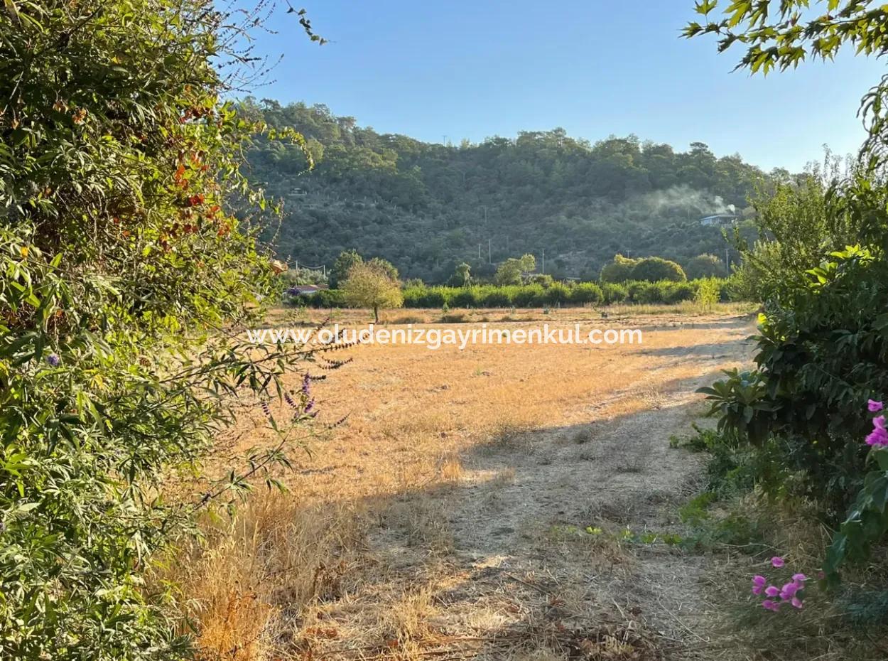 2000M2 Land For Sale In The Built-Up Area Of Çandir Village