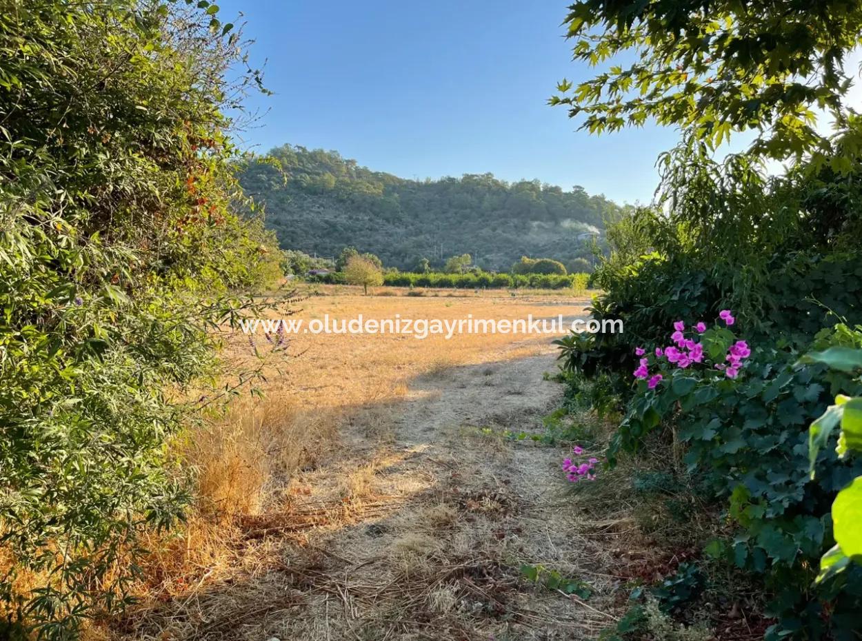 2000M2 Land For Sale In The Built-Up Area Of Çandir Village