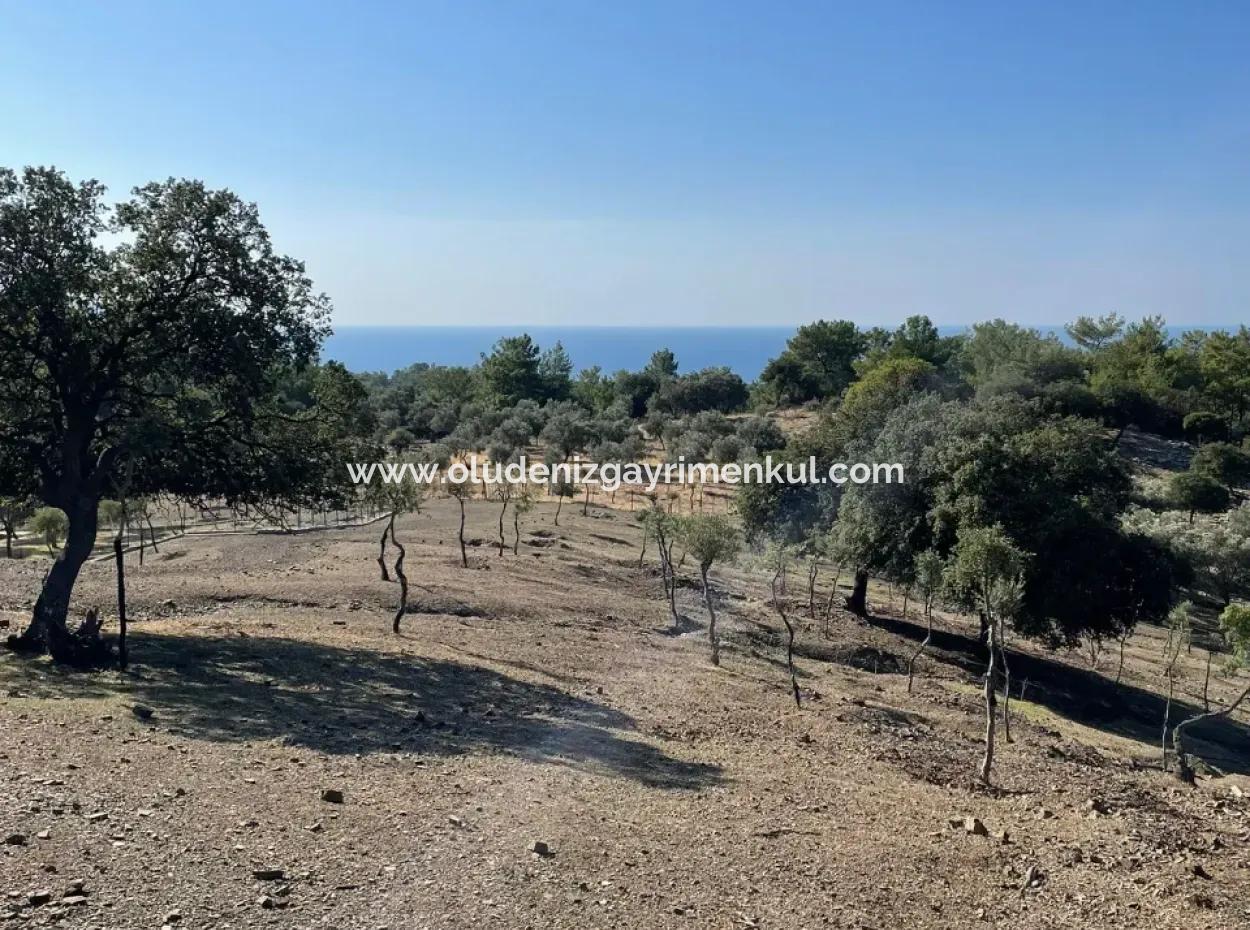 Land For Sale With Sea View Of Çandir