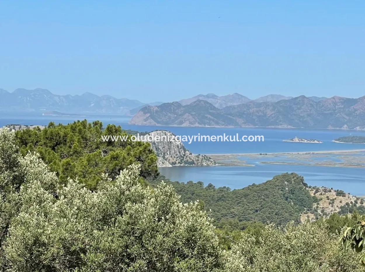 Land For Sale With Sea View In Gokbel