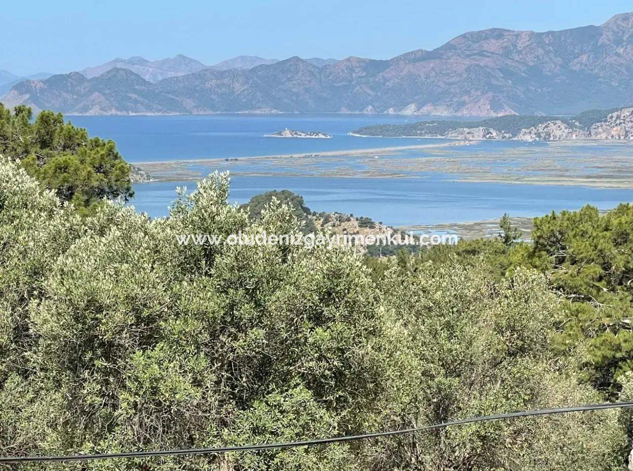 Land For Sale With Sea View In Gokbel