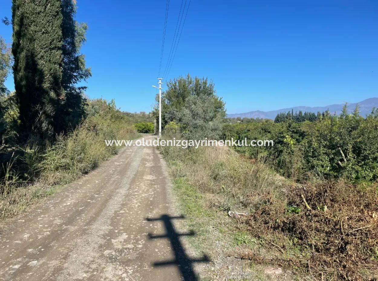 2223M2 Fields For Sale In Dalyan