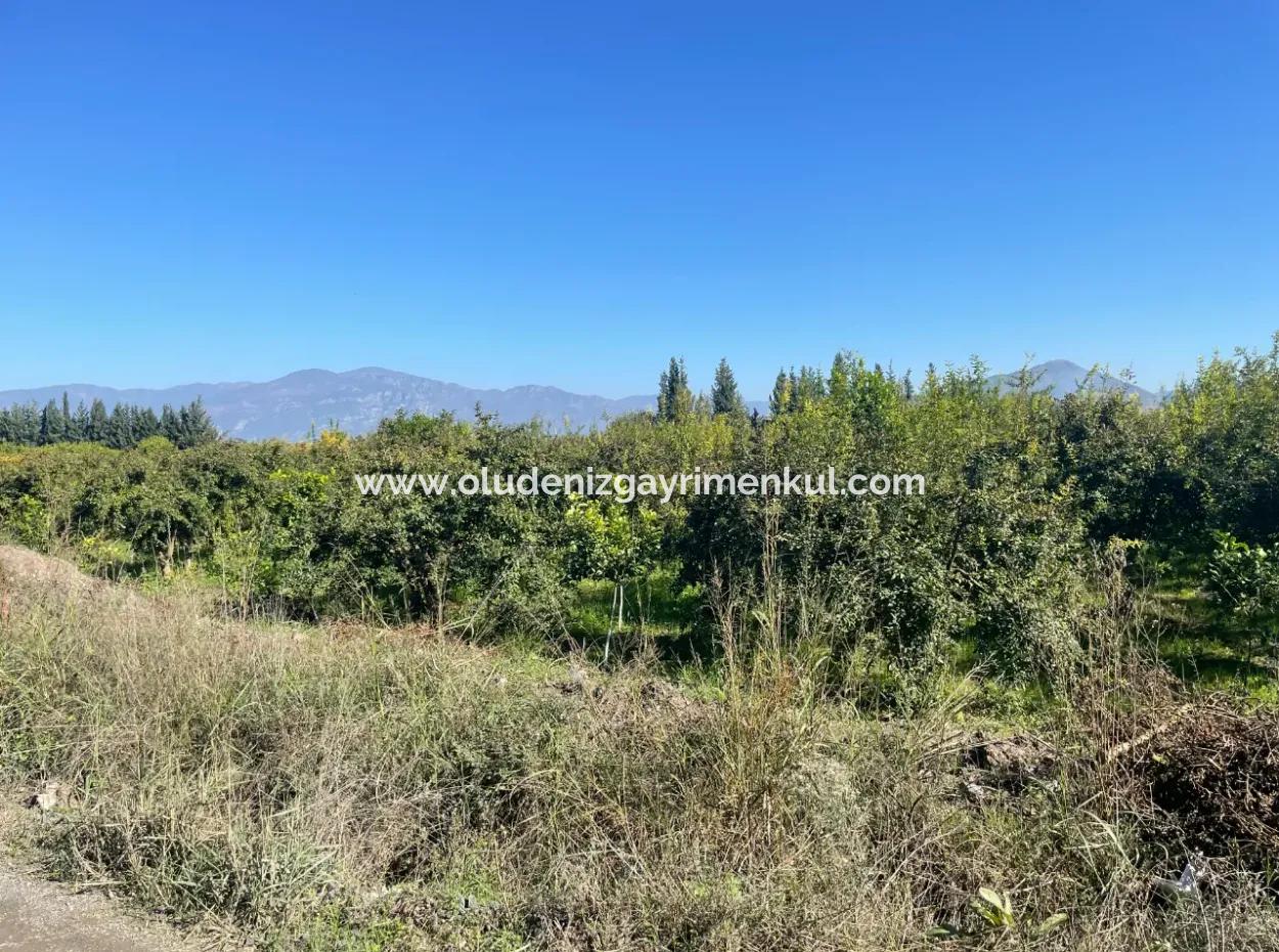 2223M2 Fields For Sale In Dalyan