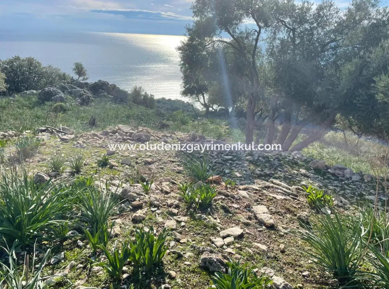 8,900M2 Field For Sale With Full Sea View In Ekincik