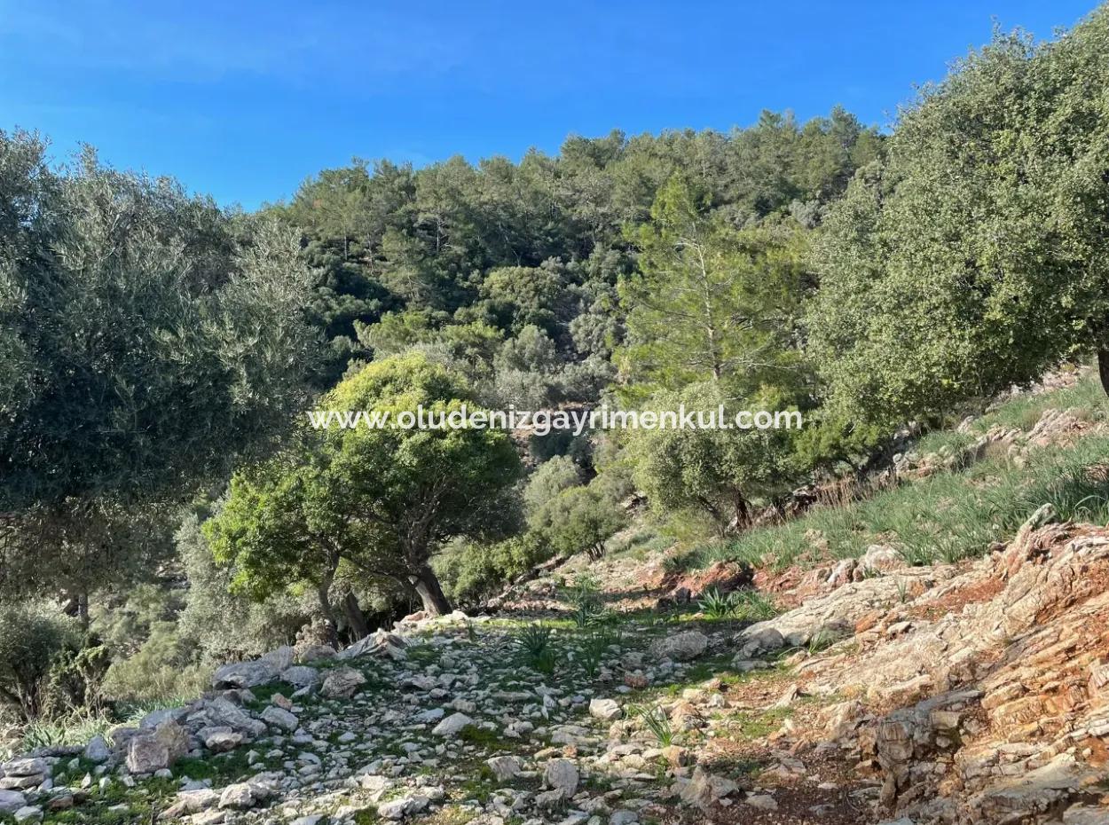 8,900M2 Field For Sale With Full Sea View In Ekincik