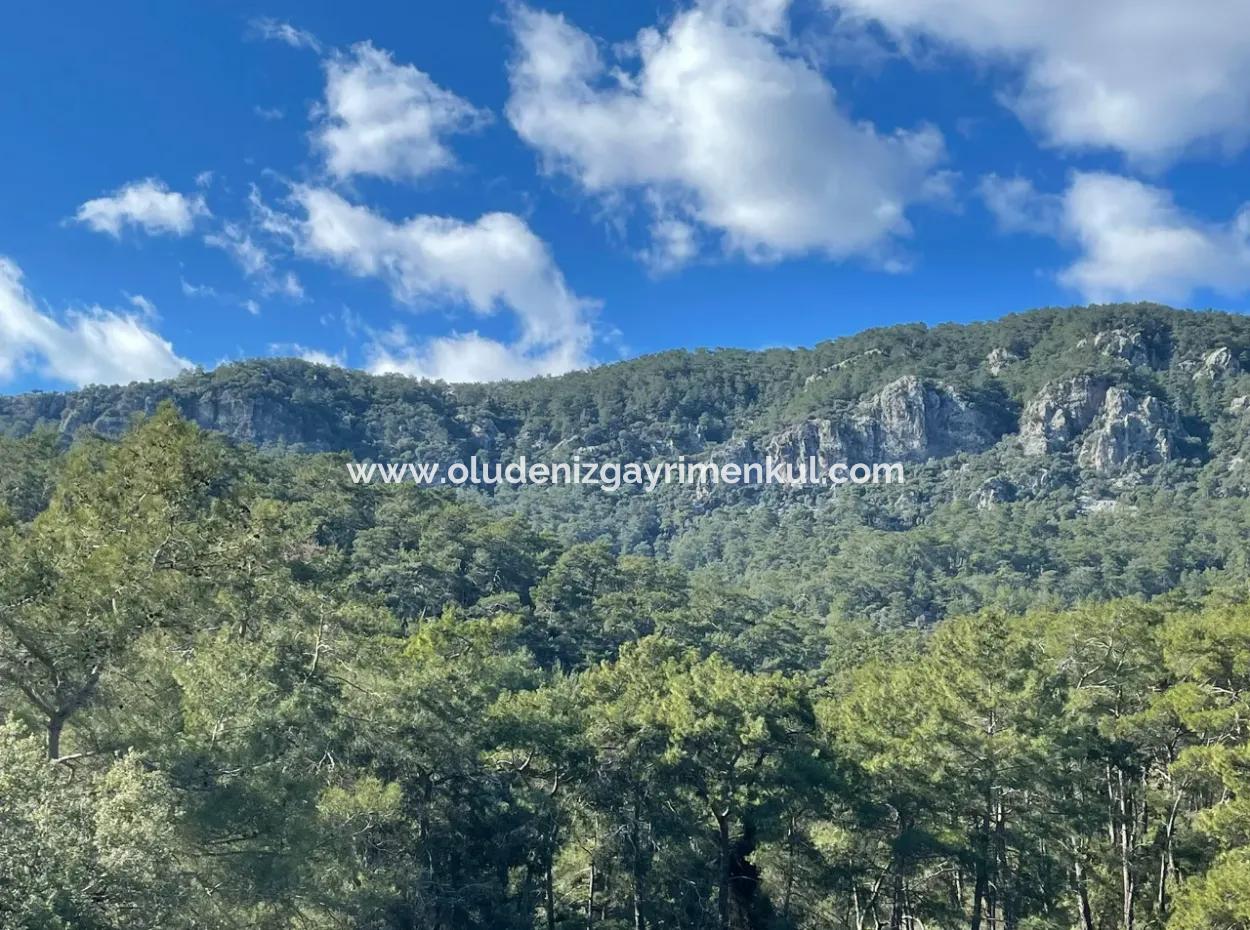 4000M2  For Sale With Lake View In Çandir