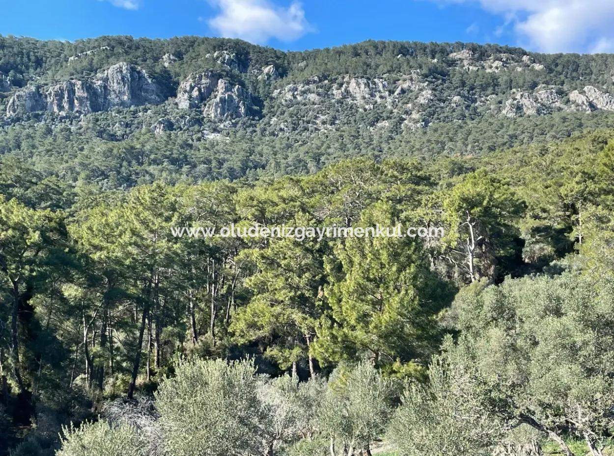 4000M2  For Sale With Lake View In Çandir