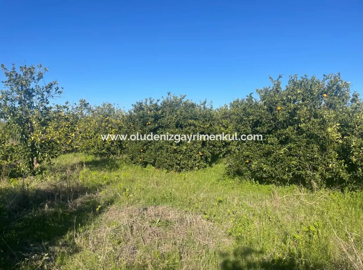Dalyan Land For Sale 5227M2 Land For Sale