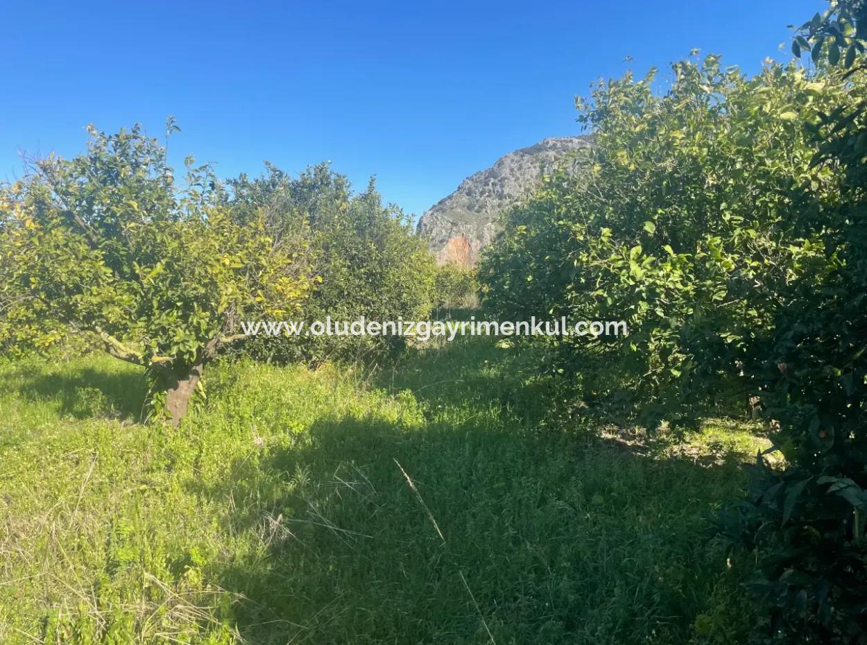 Dalyan Land For Sale 5227M2 Land For Sale