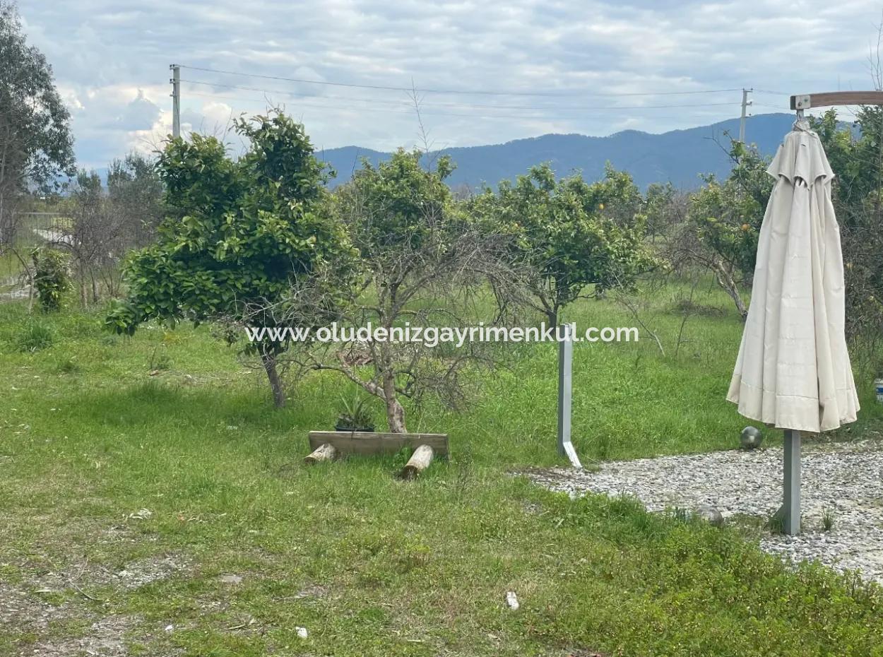 Dalyan Boutique Hotel For Sale Bungolevler For Sale In 11.000M2 Plot