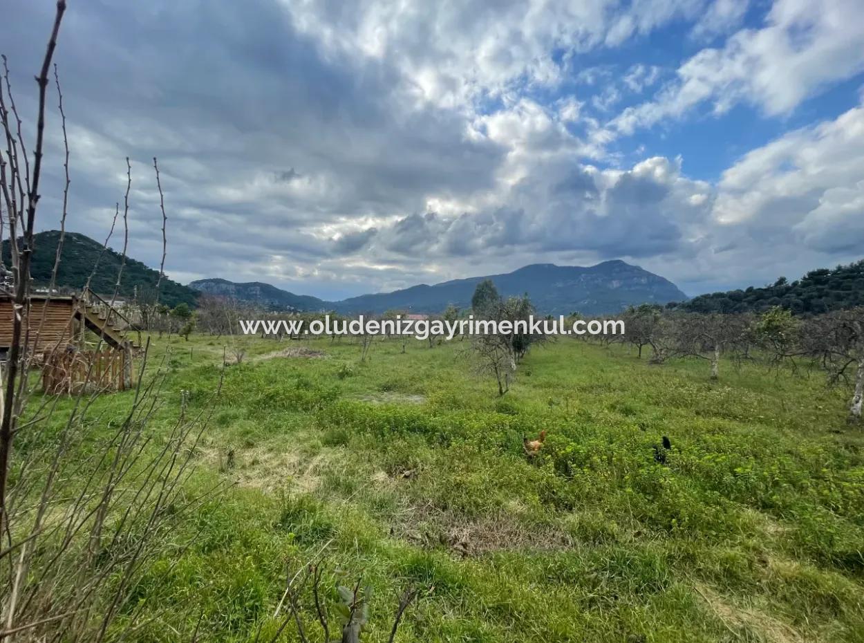 Dalyan Boutique Hotel For Sale Bungolevler For Sale In 11.000M2 Plot