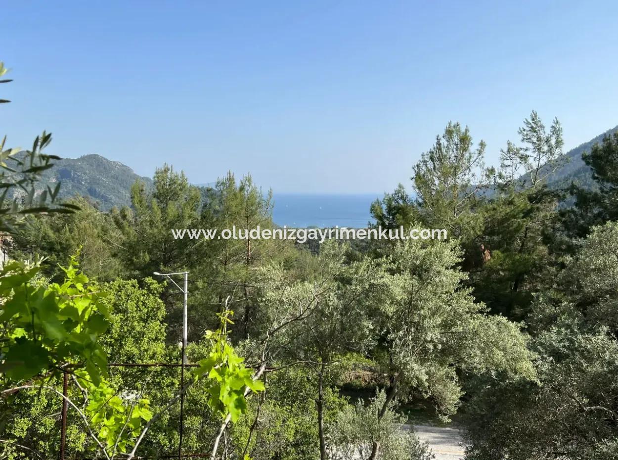 Detached House For Sale With Ekincik Sea View