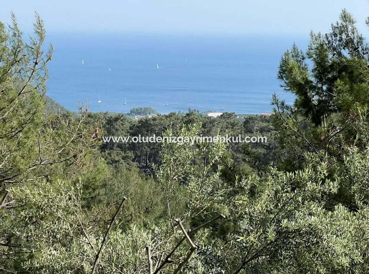 Detached House For Sale With Ekincik Sea View