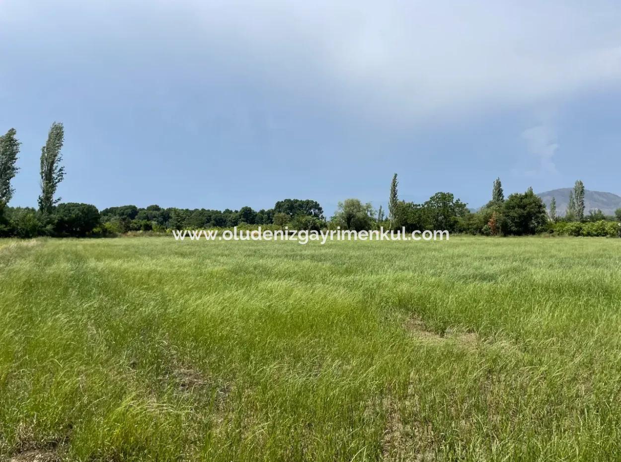 4595M2  Land For Sale In Okçular Marmarlı
