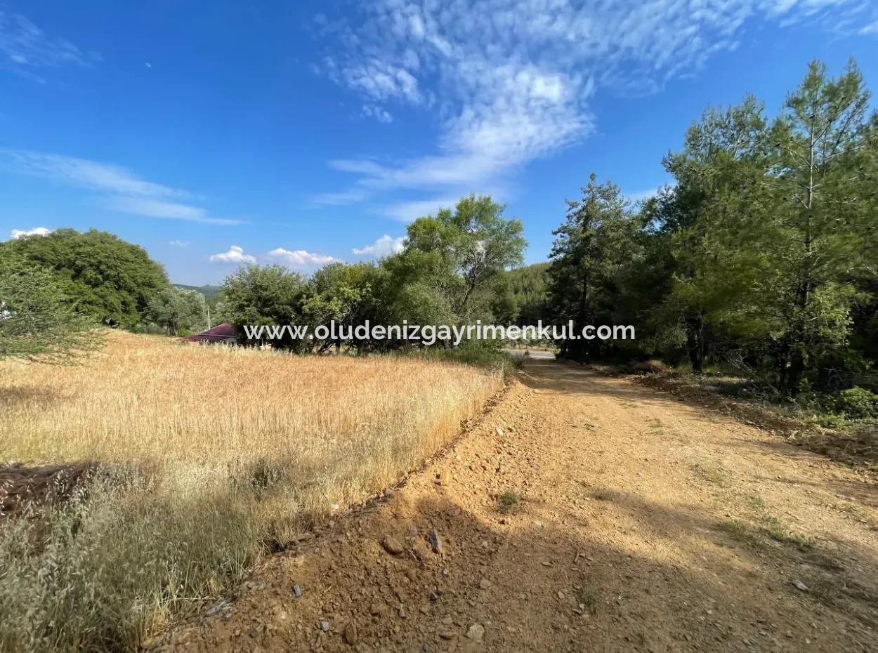 Land For Sale In Ula Armutchuk With 501M2 Zoning