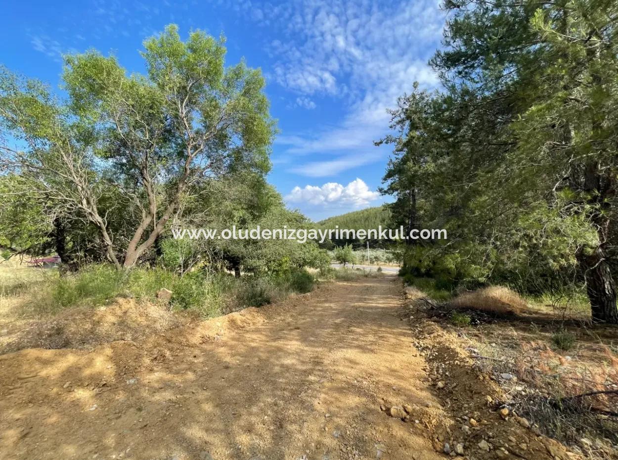 Land For Sale In Ula Armutchuk With 501M2 Zoning