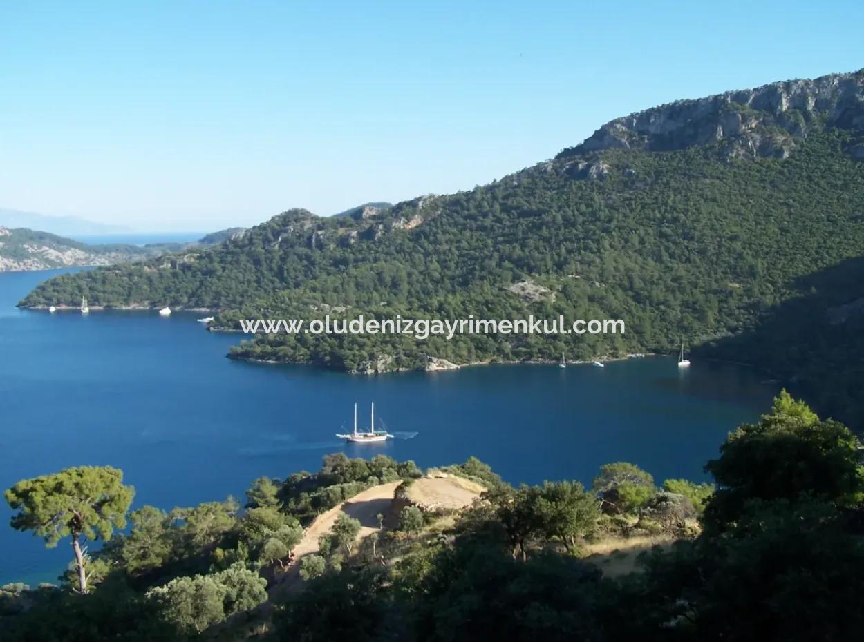 House For Sale In Sarsalada Sea View 4274M2 Plot